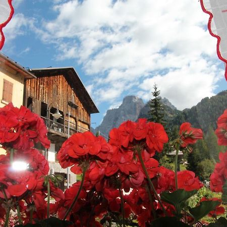 Dolomites Holidays Selva di Cadore Værelse billede
