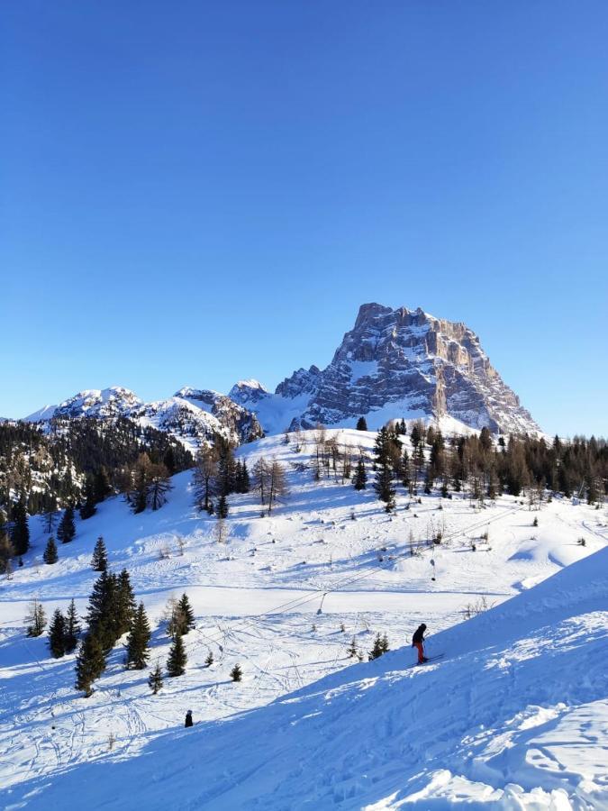 Dolomites Holidays Selva di Cadore Eksteriør billede