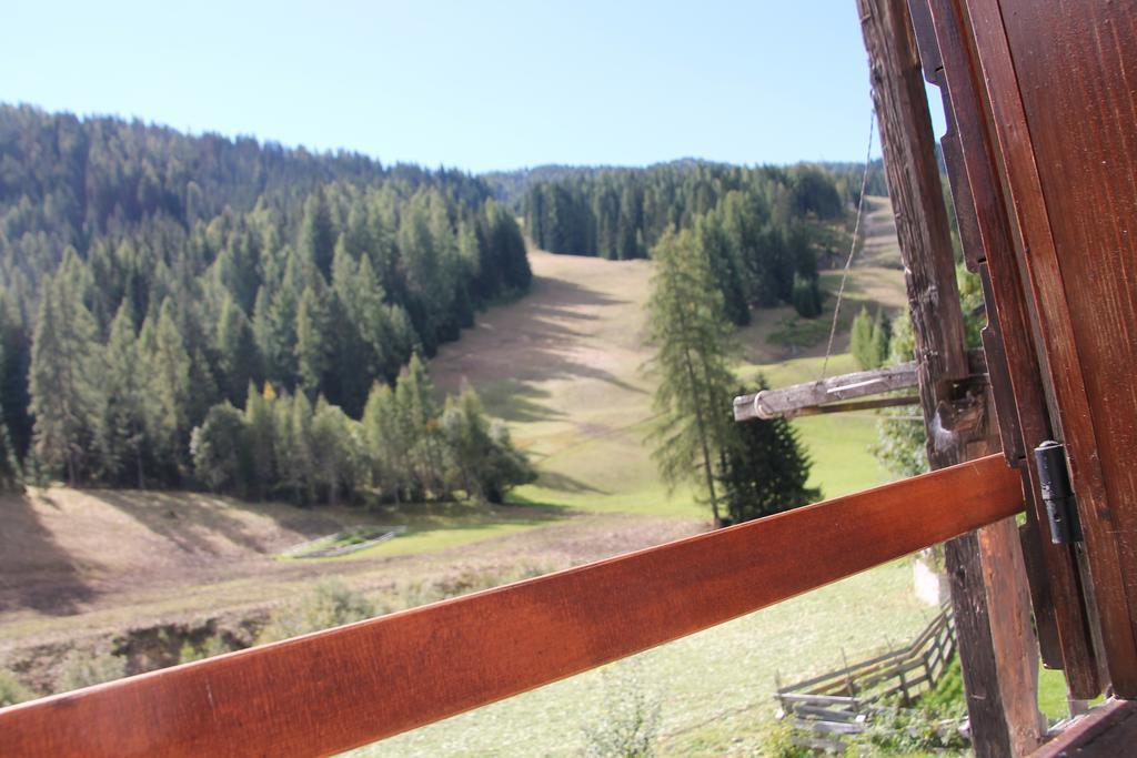 Dolomites Holidays Selva di Cadore Værelse billede