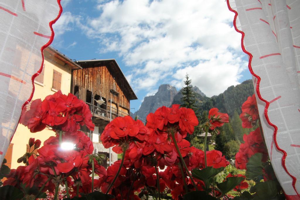 Dolomites Holidays Selva di Cadore Værelse billede